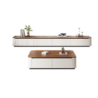 Ensemble meuble TV et table basse moderne pour salon, chambre, salle à manger, plateforme de rangement domestique en bois, couleur personnalisable, luxe léger