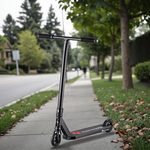 <span class=keywords><strong>Trottinette</strong></span> <span class=keywords><strong>Freestyle</strong></span> Professionnelle d'Entrée de Gamme pour Enfant, Plateau en Aluminium T6 Traité Thermiquement, Compression IHC, <span class=keywords><strong>Roues</strong></span> de 110 mm à Noyau en Alliage - Product Image 1