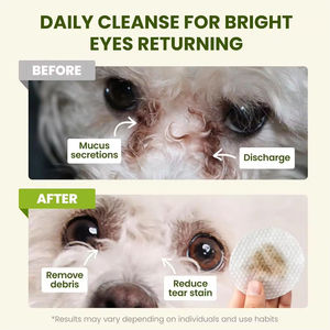 Lingettes nettoyantes pour les yeux des animaux de compagnie à base de plantes, marque privée, pour chiens et chats, hypoallergéniques, naturelles - Product Image 2