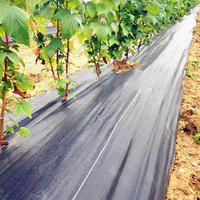 Film de paillage plastique antidérapant 4x100FT en PE/PP traité anti-UV pour jardin et aménagement paysager, tapis de contrôle des adventices, barrière 2-10