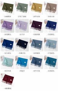 Bufandas de Pashmina de Color Sólido a la Moda, Bufanda Gruesa Tipo Manta para Mujer, Bufanda de Invierno con Logotipo Personalizado - Product Image 5