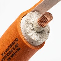Cable Eléctrico Flexible de Cobre con Aislamiento Mineral, Resistente al Fuego, NG-A, 2 Núcleos, 0.6/1kV, para Proyectos de Construcción y Seguridad contra Incendios