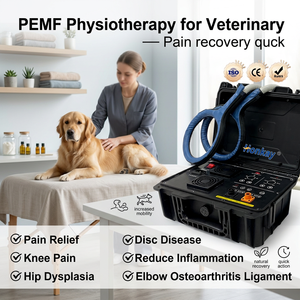 Appareil de thérapie PEMF à prix d'usine, pratique pour les animaux de compagnie, favorise la réparation tissulaire, idéal pour les centres de réadaptation animale. - Product Image 1