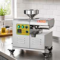 Machine de presse d'huile d'arachide de noix de sésame domestique commerciale avec différentes options de capacité de fonction froide et chaude