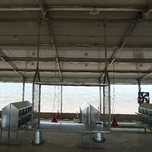 هيكل فولاذي لمزرعة دواجن/مستودع ورشة عمل معدنية بسعر مصنع رخيص مع تصميم - Product Image 5