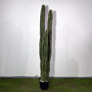 <span class=keywords><strong>Cactus</strong></span> artificiel, petit bouquet, plante d'intérieur, décoration murale, arrangements chinois, grand format, matériau PU, écologique, Halloween - Product Image 3