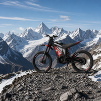 Moto tout-terrain électrique ultralégère 59 kg RERODE R1 10KW Haute performance E-Dirtbike Sur-Ron Killer Motocross