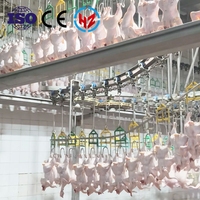 Machine à plumer pour volailles (poulets, cailles) de 300 à 15 000 oiseaux/heure, avec pompe et moteur, conforme aux normes halal, haute productivité pour l'abattage.