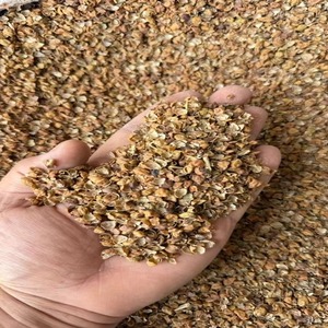 Cáscara de Chana Negra 100% Natural Secada al Sol de Uttar Pradesh, de Alta Demanda, para la Industria de Alimentación y Nutrición de Ganado, Disponible para Venta al Por Mayor - Product Image 1