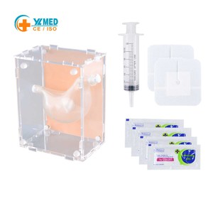 Modèle de gastrostomie et d'alimentation par sonde, simulation réaliste de <span class=keywords><strong>procédure</strong></span> PEG pour la formation médicale et infirmière - Product Image 1