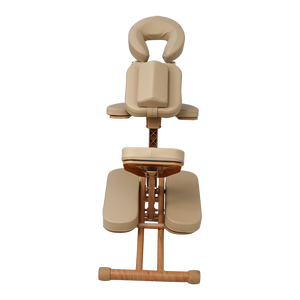 Nuova Poltrona Portatile in <span class=keywords><strong>Alluminio</strong></span> per Salone, Regolabile per Fisioterapia, Bellezza, Massaggi Facciali, Tatuaggi e Trattamenti Ciglia - Product Image 3