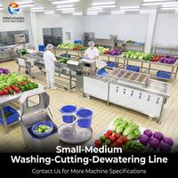 Kommerzielle Maßgefertigte Blattgemüse-Verarbeitungslinie 500-1000kg/h Wasch-, Schneid- und Entwässerungsmaschine für Salat, Rucola, Paprika