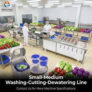 Ligne de traitement commerciale personnalisée pour légumes-feuilles 500-1000 kg/h – Machine de lavage, découpe et déshydratation pour salade, arugula, poivron - Product Image 1
