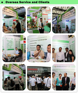 ผงผลมังคุดธรรมชาติจากโรงงาน ผงน้ำมังคุด - Product Image 3