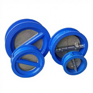 Clapet anti-retour à <span class=keywords><strong>disque</strong></span> en acier inoxydable 304, corps en fonte, avec logo OEM <span class=keywords><strong>et</strong></span> emballage personnalisé - Product Image 2