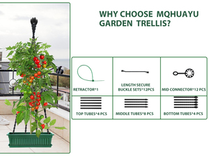 Estructura de Escalada en Forma de Abanico, Diseño Único y de Alta Calidad, Mejor Ventilación y Más Luz, Éxito de Ventas en China 2026 - Product Image 5