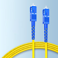 Usine FTTH Simplex Duplex SM MM 3M 5M 10M 20M 30M Cordons de raccordement en fibre SC/FC/LC/ST/MTRJ/MU/DIN UPC APC Câbles de communication