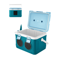 Sac isotherme 15L avec compresseur pour haut-parleur, boîte de rangement alimentaire en PE, pour la plage, les voyages et les rafraîchissements en extérieur