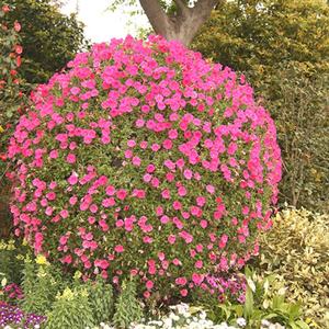 Produits de décoration de jardin, grand pot à fleurs en plastique en forme de boule géante pour l'extérieur - Product Image 5