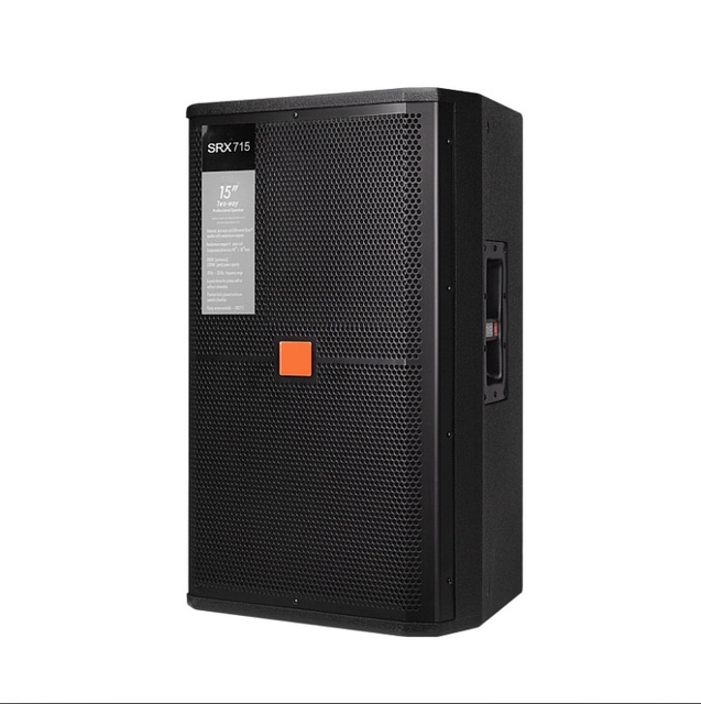 15 - Inch High - Power Professional Stage Speaker Suitable for Indoor and Outdoor Performances