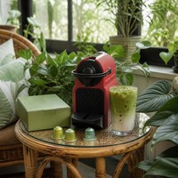 Capsules de Matcha Halal pour Machines à Café OEM 2g Certifiées EAU Dubaï Arabie Saoudite GCC Marque Privée Vente en Gros