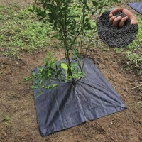 Toile de paillage/couvre-sol en PP 50-200 g/m² (résistante aux UV), adaptée à l'agriculture et à l'aménagement paysager.