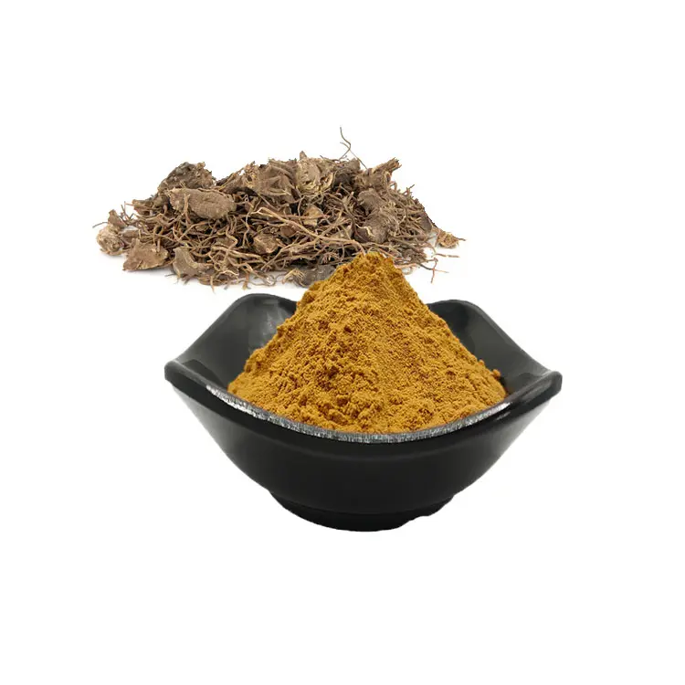 Bubuk ekstrak akar Cohosh hitam 2.5% alami 8% triterpena Glycosides