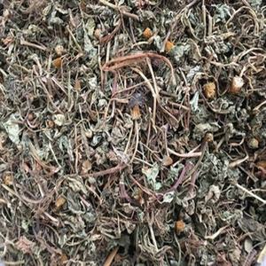 Herba Gotu Kola Seca Natural de Alta Calidad, Plantas Enteras, Hierbas Chinas, Acmella <span class=keywords><strong>Paniculata</strong></span> - Product Image 5
