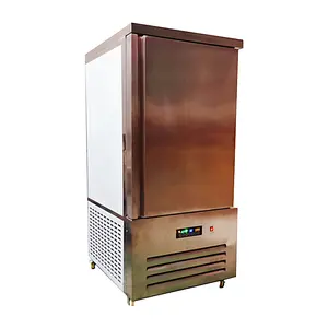 Factory Price Commercial Fast Freezing Small Refrigeration Machine 1 door Refrigerator Blast Chiller Shock Freezer