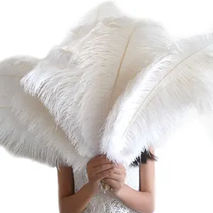 White Pluma Blance 55 60cm Ostrich Feathers