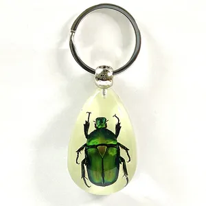 Côn Trùng Thực Sự Trong Nhựa Côn Trùng Trong Amber Key Chain Glow In Dark Keychain Beetle Keychain