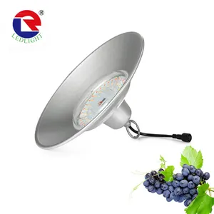 Đèn Led Trồng Cây Đèn Led Trồng Cây Đèn Led Trồng Cây Trong Nhà 2021 Quang Phổ Đầy Đủ Tốt Nhất 0-10V Có Thể Điều Chỉnh Độ Sáng 1000W Có Thể Thay Thế HPS Trong Nhà Pla