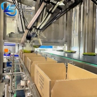 Empaquetadora Robótica Delta Automática Personalizada para Pequeñas Empresas, Alimentos, Snacks, Metal, Alta Precisión, Alta Productividad, Eléctrica