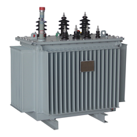 HDT S13-M 100kVA-315kVA Üç Fazlı Yağlı Tip Dağıtım Trafosu 10kV 110kV 220kV NX3 IEC OEM ODM Orta Doğu CE