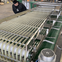 Pruimen fruit sorteerapparaat, appel sorteermachine, sinaasappel sorteermachine, maat sorteermachine beschikbaar voor Medjool dadels, jujubes en dadels.