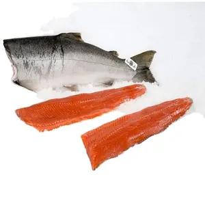 Nouveau stock de saumon frais Salmo Salar 100% de qualité exportée poisson congelé disponible aux États-Unis
