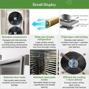 Hydraulic Plate Cryogenic Chock Small <b>Tabletop</b> Iqf Flash <b>Freezer</b> Room Pipe Freezing Machine for Fish Prawn - Product Image 4