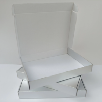 Boîtes en papier argentées personnalisées pour avion, 35*25*8cm, vente directe d'usine, promotion, boîtes d'expédition, boîtes de shopping