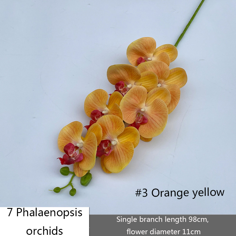 7 têtes# 3 oranges