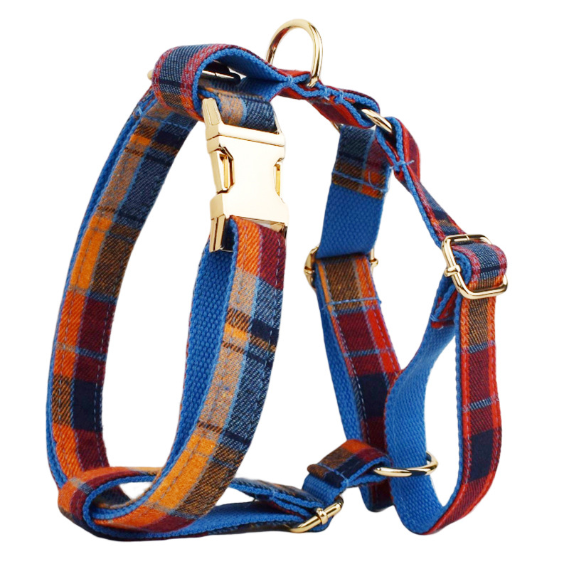 Blue-Harness