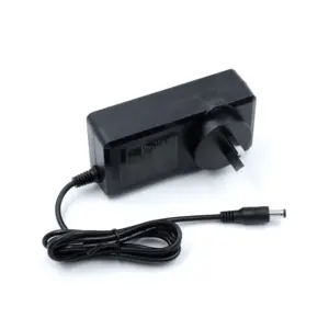 Profession Manufacture Output 21V 2A Smart Battery Charger 48W Power Adapter With Wall Plug Mounted