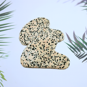 Jedite dalmation Jasper พวงกุญแจ Gua เครื่องมือมือสำหรับเซรั่มน้ำมันเครื่อง<span class=keywords><strong>นวด</strong></span>หน้าพร้อมกระดานขูดและโลโก้ guasha - Product Image 5