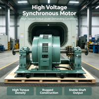 Moteur électrique synchrone avec boîtier en fonte, large plage de vitesse, faible augmentation de température, moteur synchrone YKK YRKK