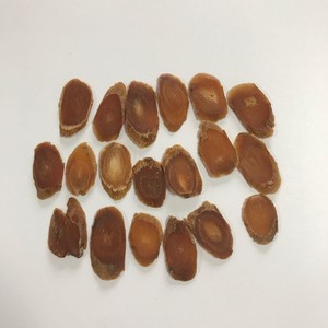 Poudre et tranches rouges de qualité alimentaire biologique provenant d'une usine riche en saponines actives - Product Image 4