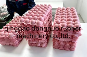 2026 Hot Sale Equipment for <strong>Cricket</strong> Production Lines Full Line - Product Image 4