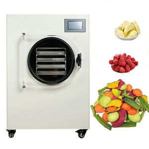 Lyophilisateur Commercial Professionnel pour Aliments – Machine de Lyophilisation pour la Transformation des Concombres de Mer, Bananes et Fruits - Product Image 1