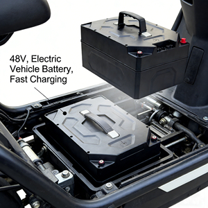 Multi-Voltage Optional (24V/<b>48V</b>/60V/72V) 30Ah <b>Battery</b> Pack for EVs - Product Image 6