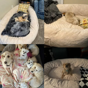 Venta al por mayor de lujo cama para mascotas personalizado ortopédico DurablevPet cama para perros humanos Perrera de alta calidad - Product Image 2