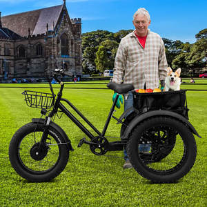 20 pollici Triciclo elettrico 750W motore grasso pneumatico 3 <span class=keywords><strong>ruote</strong></span> E <span class=keywords><strong>bici</strong></span> Triciclo <span class=keywords><strong>tre</strong></span> <span class=keywords><strong>ruote</strong></span> adulto Cargo <span class=keywords><strong>bici</strong></span> elettrica con cestino - Product Image 4