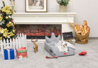 Lit pour chat de conception exclusive, de haute qualité, moderne, toutes saisons, avec coussin et couverture en mousse à mémoire de forme, housse amovible